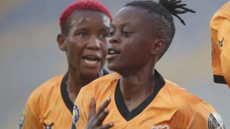 Prediksi Nigeria vs Zambia WAFCON 2026: Analisis Kekuatan, Statistik, dan Taktik
